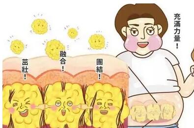 抽脂形体改良怎么做？大概多久能恢复？