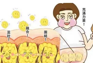 多久才能起到减肥的作用？看看效果怎么样，明显吗？