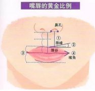 北医三院潘柏林唇部案例_手术费用2023揭晓！附医生个人简介