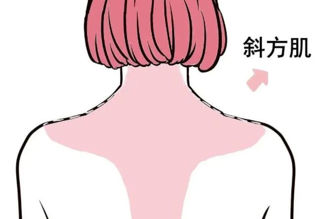 背部吸脂有效果吗?真的能瘦吗?有什么注意事项?