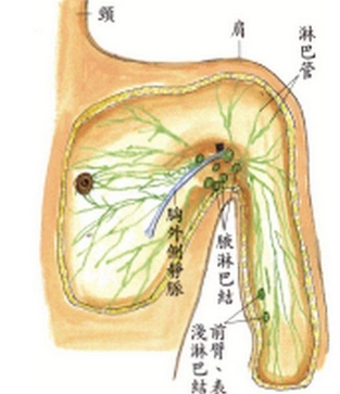协和医院朱琳副乳手术风格如何？科室-医生介绍~价格低、技术也在线！