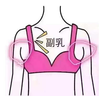 协和医院朱琳副乳手术风格如何？科室-医生介绍~价格低、技术也在线！