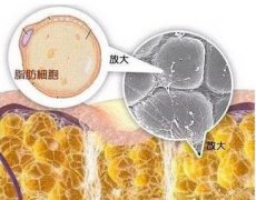 北京京韩整形美容价格怎么样？地址在哪？技术怎么样？擅长项目科普~