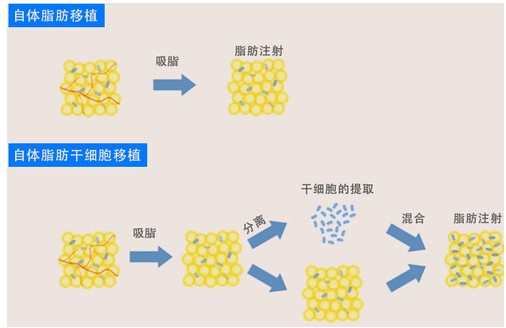 北京京韩整形美容价格怎么样？地址在哪？技术怎么样？擅长项目科普~