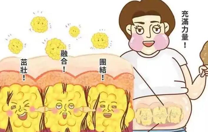 360度吸脂是什么？优势有哪些？戳进来看