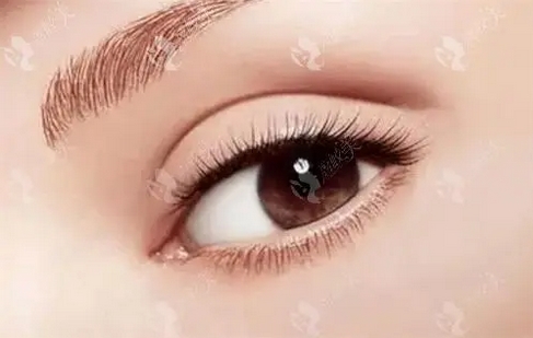 八大处杨庆华做修复双眼皮吗？北京眼整形专家技术测评~有什么技术难点吗？