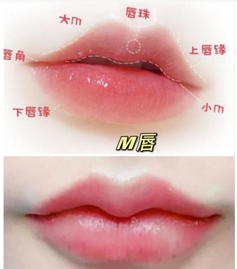 上唇M下唇花瓣好看吗？了解哪个更好看和适合你？给你介绍美学特点！