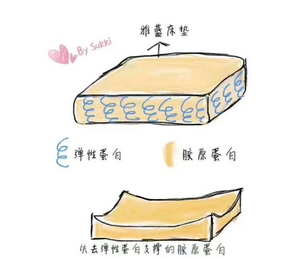 胶原蛋白可以补回来吗？面部胶原蛋白有副作用吗？教你怎样补充胶原蛋白~