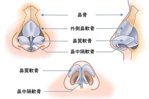 重庆西南医院毋巨龙医生怎么样?隆鼻修复案例曝光!有价格表参考