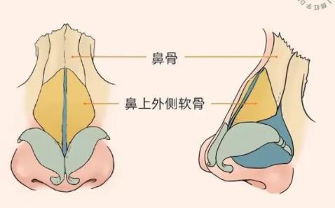 重庆西南医院毋巨龙医生怎么样?隆鼻修复案例曝光!有价格表参考
