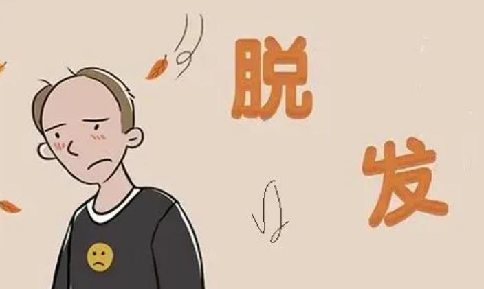 调节脂溢性脱发偏方有哪些？是什么原因引起的？植发有用吗？