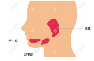口腔科常见十大疾病有哪些？症状有哪些？重视口腔问题刻不容缓！