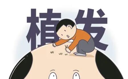 怎样防脱发和助生发？日常生活中应该如何护理自己的头发