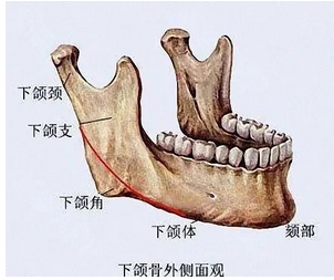 下颌角长曲线截骨术价格如何?果好不好?让你遇到自己的魅力!