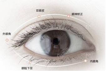 邯郸京美崔现坡做双眼皮怎么样？本院双眼皮专家技术、风格测评！