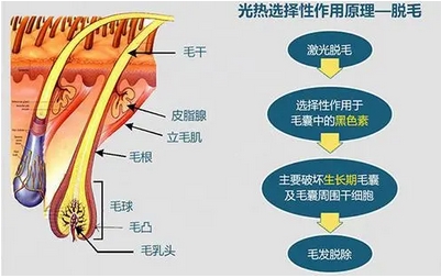 上海仁济医院可以做激光脱毛吗？医院医生推荐-科室简介分享~