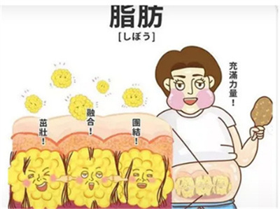 韩雪峰整形医院简介，内附吸脂案例参考！