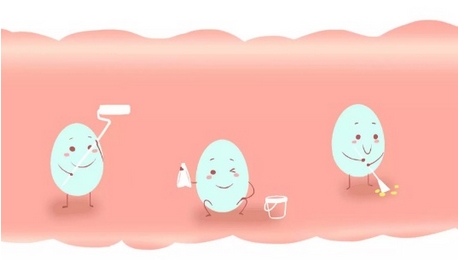 多喝乳酸菌可以瘦腹部吗？女性喝乳酸菌还有哪些好处？合理饮食，保持营养均衡~