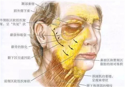 徐海淞九院做拉皮多少钱 ？个人资料公开介绍，注意事项带你了解！