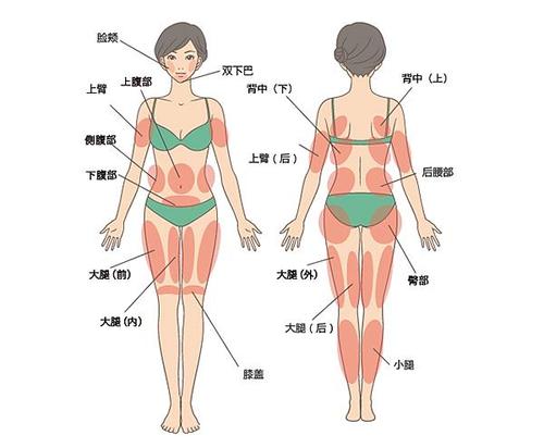 北京樱桃医疗美容是正规的吗？吸脂怎么样？院内实力_大腿抽脂案例