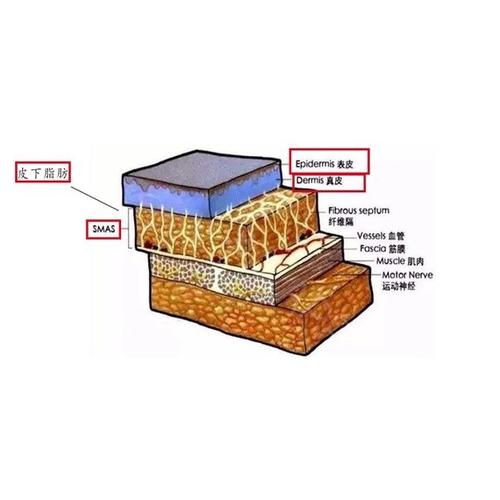 fotona欧洲之星多少钱？收费价格\维持时间\注意事项