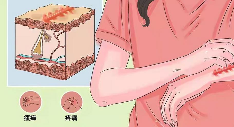 丁爽瘢痕综合调节很擅长吗？哈医大一院医生简介\实操案例
