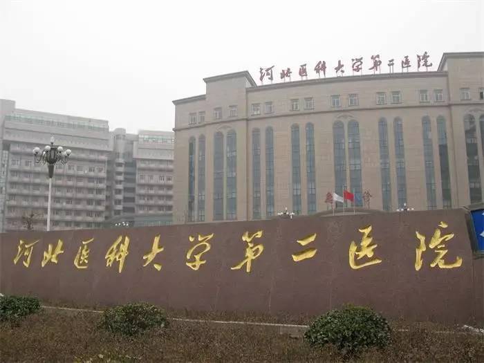河北医科大学第二医院赵雪莲隆鼻怎么样？医生简介、价格明细