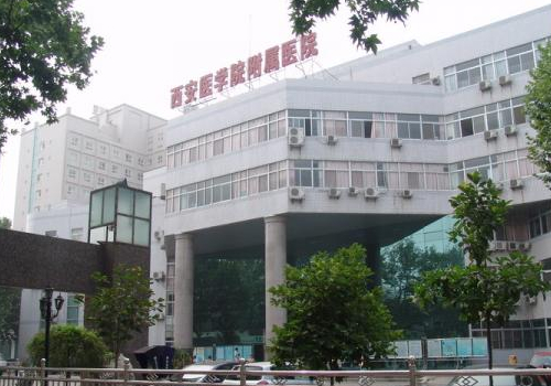 李宇飞植发怎么样？内附医生信息及技术测评！