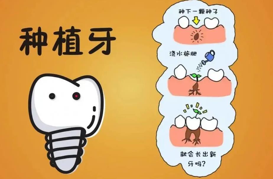 三叶儿童口腔收费标准是什么？许捷医生个人技术优势介绍！种植牙实例