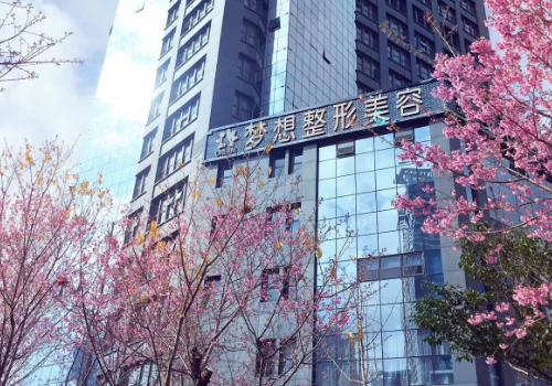昆明排名一的整形医院是哪家？榜上有名的医院都在这里！