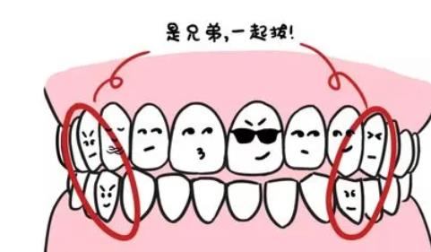 上海康圆口腔诊所正畸多少钱?价格高不高?牙齿正畸案例