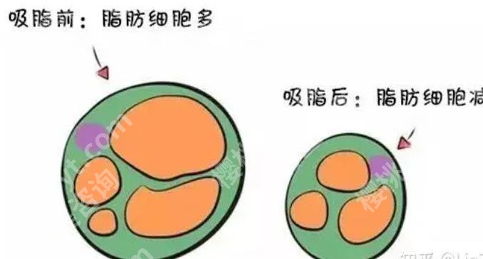 上海微加医疗美容门诊部图片曝光！医院开展项目及技术优势介绍
