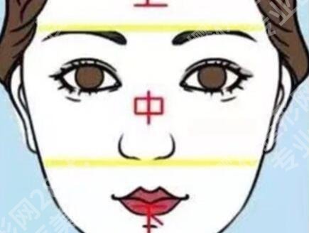 中庭太长怎么改良？有什么好的方法推荐吗？戳进来看