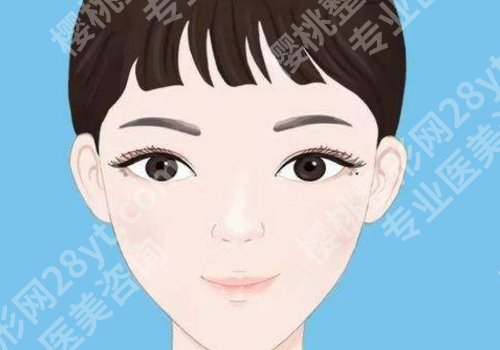 外轮廓包括哪些部位?手术信息分享