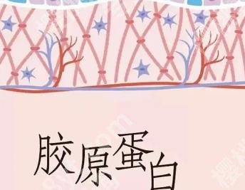 肤美达胶原蛋白价格多少？收费贵吗？功效和作用介绍