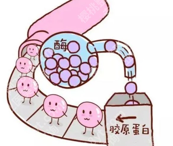 肤美达胶原蛋白价格多少？收费贵吗？功效和作用介绍