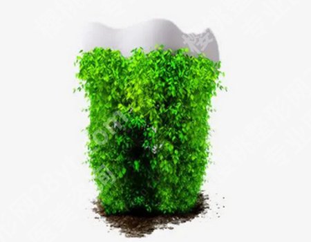 种植牙的使用寿命如何？种植牙是一种常见的牙齿修复方法！