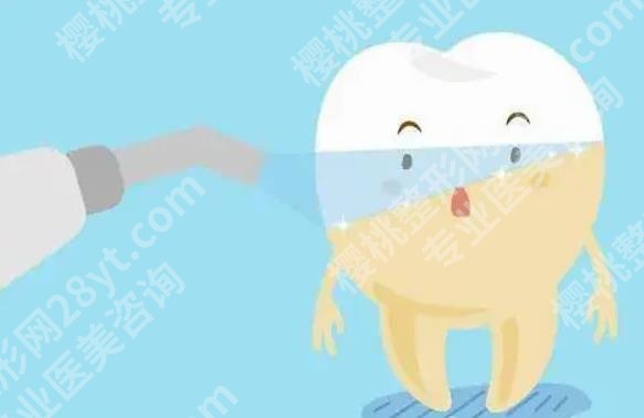 牙龈肿痛有脓包怎么办？怎样预防牙龈问题？生活小妙招~
