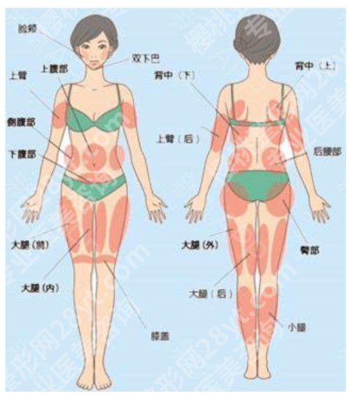 淮北人民医院抽脂怎么样？多少钱？整形科简介_价格费用_案例图