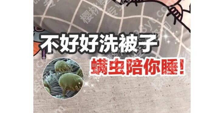 螨虫怎么去除？螨虫的危害有哪些？