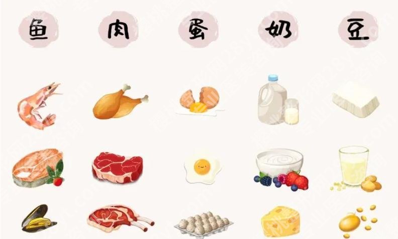 减肥期间吃什么很容易瘦？蔬菜、水果、蛋白质都是脂肪＂杀手＂！