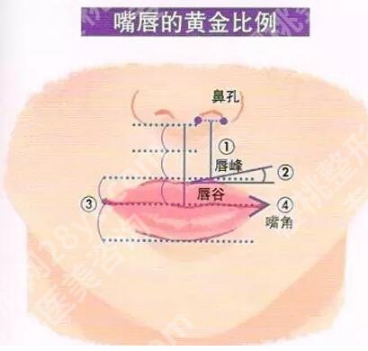 玻尿酸丰唇整形多久恢复？玻尿酸丰唇有危害吗？