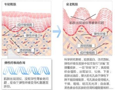 东莞第六人民医院除皱手术怎么样？多少钱？挂号预约、价格表2024