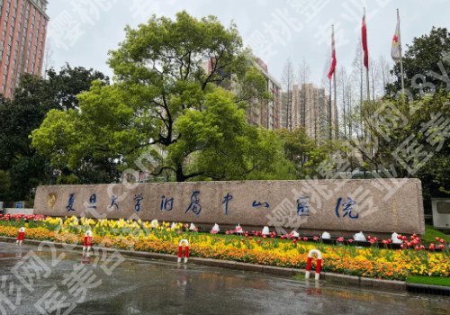2024上海切眉提眉前十名整形医院排名，性价比整形医院安排上！