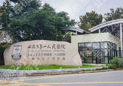2024上海切眉提眉整形医院排名前十位，热门医院名单一览表！