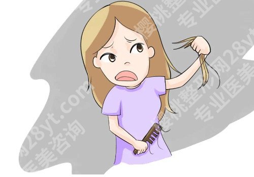 植发有用吗,可以维持多久？