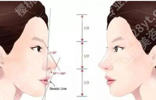 北京柏丽医疗美容门诊部鼻部整形多少钱？真人隆鼻案预览！