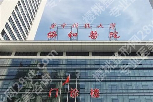 武汉同济协和各自擅长领域是哪些？医疗特色与专科对比分析