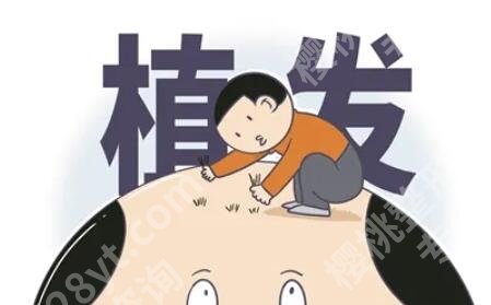 广东省中医院植发价格费用贵不贵？真人效果图展示！