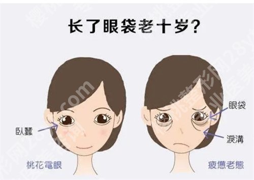 张明强简介内容来袭！一键了解网友体验反馈，擅长项目